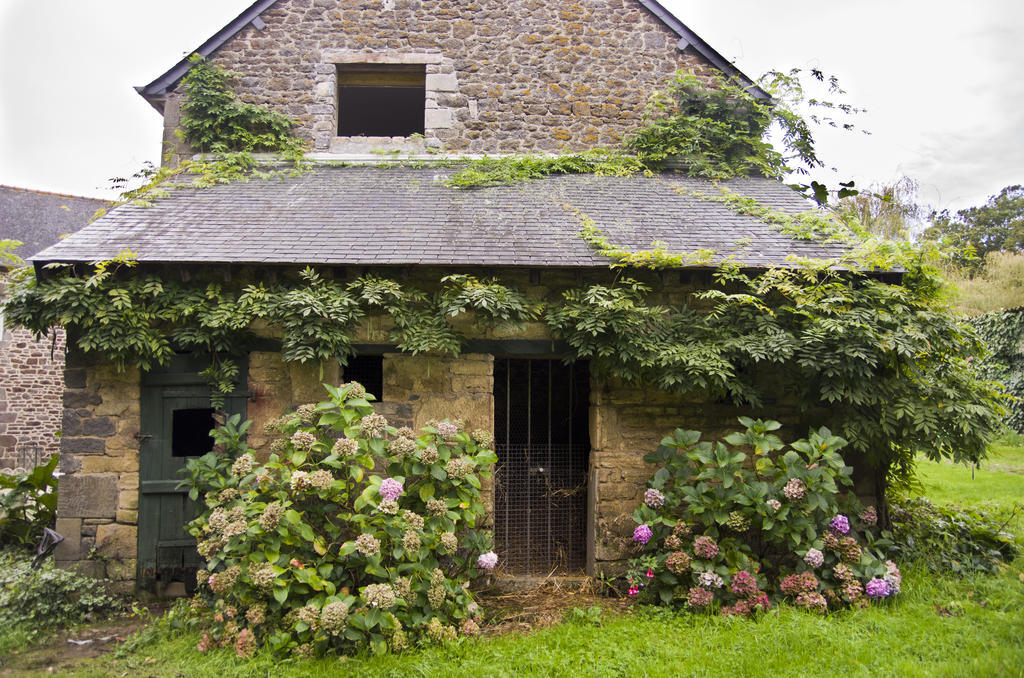 Le Cordon Blanc-Evran Bed & Breakfast Luaran gambar